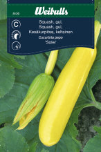 Gul squash 'Solei'